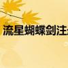流星蝴蝶剑注册表在哪（流星蝴蝶剑注册表）