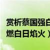 赏析蔡国强白日焰火（艺术家蔡国强在法国点燃白日焰火）