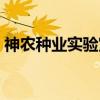 神农种业实验室（关于神农种业实验室介绍）
