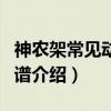 神农架常见动物图谱（关于神农架常见动物图谱介绍）