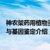 神农架药用植物资源与基因鉴定（关于神农架药用植物资源与基因鉴定介绍）