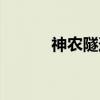 神农隧道（关于神农隧道介绍）