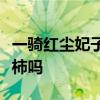 一骑红尘妃子笑中的杨贵妃在当时能吃到西红柿吗
