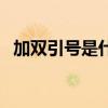 加双引号是什么意思（双引号是什么意思）