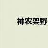 神农架野人（关于神农架野人介绍）