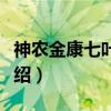 神农金康七叶胆茶（关于神农金康七叶胆茶介绍）
