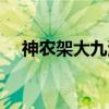 神农架大九湖（关于神农架大九湖介绍）