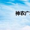 神农广场（关于神农广场介绍）