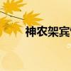 神农架宾馆（关于神农架宾馆介绍）