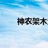 神农架木鱼（关于神农架木鱼介绍）