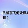 孔雀东飞何处栖,庐江小吏仲卿妻我该怎么回(孔雀东飞何处栖) 孔雀东飞何处栖,庐江小吏仲卿妻我该怎么回(孔雀东飞何处栖)