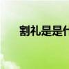 割礼是是什么（割礼指的是什么地方）
