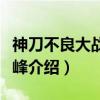 神刀不良大战雪藏峰（关于神刀不良大战雪藏峰介绍）