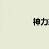 神力戒（关于神力戒介绍）