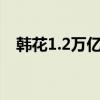 韩花1.2万亿催婚（韩国花万亿催婚无用）