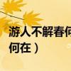 游人不解春何在的解是什么意思（游人不解春何在）