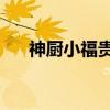 神厨小福贵2（关于神厨小福贵2介绍）