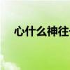 心什么神往一个四字词语（心什么神往）