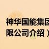 神华国能集团有限公司（关于神华国能集团有限公司介绍）
