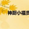 神厨小福贵4（关于神厨小福贵4介绍）