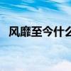 风靡至今什么意思（风靡一时是什么意思）