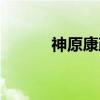 神原康政（关于神原康政介绍）