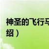 神圣的飞行马戏团（关于神圣的飞行马戏团介绍）