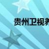 贵州卫视养生堂节目（贵州养生节目）