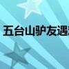 五台山驴友遇难女子是谁（五台山驴友遇难）