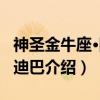 神圣金牛座·阿鲁迪巴（关于神圣金牛座·阿鲁迪巴介绍）