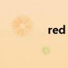 red is the man歌词翻译