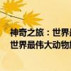 神奇之旅：世界最伟大动物旅行家的风采（关于神奇之旅：世界最伟大动物旅行家的风采介绍）