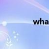 whatfor代购（whatfor）