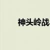 神头岭战斗（关于神头岭战斗介绍）