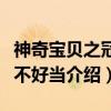 神奇宝贝之冠军不好当（关于神奇宝贝之冠军不好当介绍）