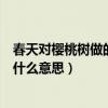 春天对樱桃树做的事是什么意思啊（春天对樱桃树做的事是什么意思）