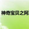 神奇宝贝之阿岚（关于神奇宝贝之阿岚介绍）