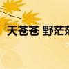 天苍苍 野茫茫 风吹草低见牛羊 意思是什么