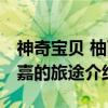 神奇宝贝 柚丽嘉的旅途(关于神奇宝贝 柚丽嘉的旅途介绍) 神奇宝贝 柚丽嘉的旅途(关于神奇宝贝 柚丽嘉的旅途介绍)