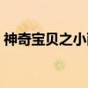 神奇宝贝之小雨（关于神奇宝贝之小雨介绍）