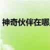 神奇伙伴在哪里（关于神奇伙伴在哪里介绍）