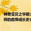 神奇宝贝之华丽大师的彪悍成长史（关于神奇宝贝之华丽大师的彪悍成长史介绍）
