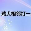 鸡犬相邻打一动物生肖（鸡犬相邻打一生肖）