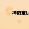 神奇宝贝4（关于神奇宝贝4介绍）