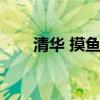 清华 摸鱼学（清华为何能开摸鱼学）