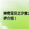 神奇宝贝之汐音之梦复仇伊（关于神奇宝贝之汐音之梦复仇伊介绍）