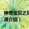 神奇宝贝之冠军白潇（关于神奇宝贝之冠军白潇介绍）