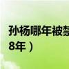 孙杨哪年被禁赛的（为什么孙杨事件终身禁赛8年）