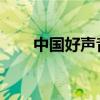 中国好声音 卫视（中国好声音奇艺）