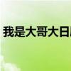 我是大哥大日剧百度网盘（我是大哥大日剧）